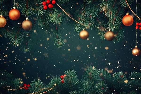 Decoratiuni de Craciun Clinica Prevent