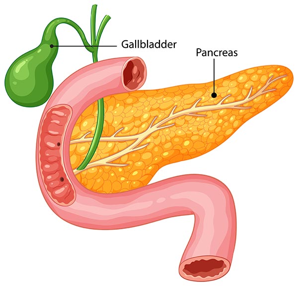 Pancreas inflamat